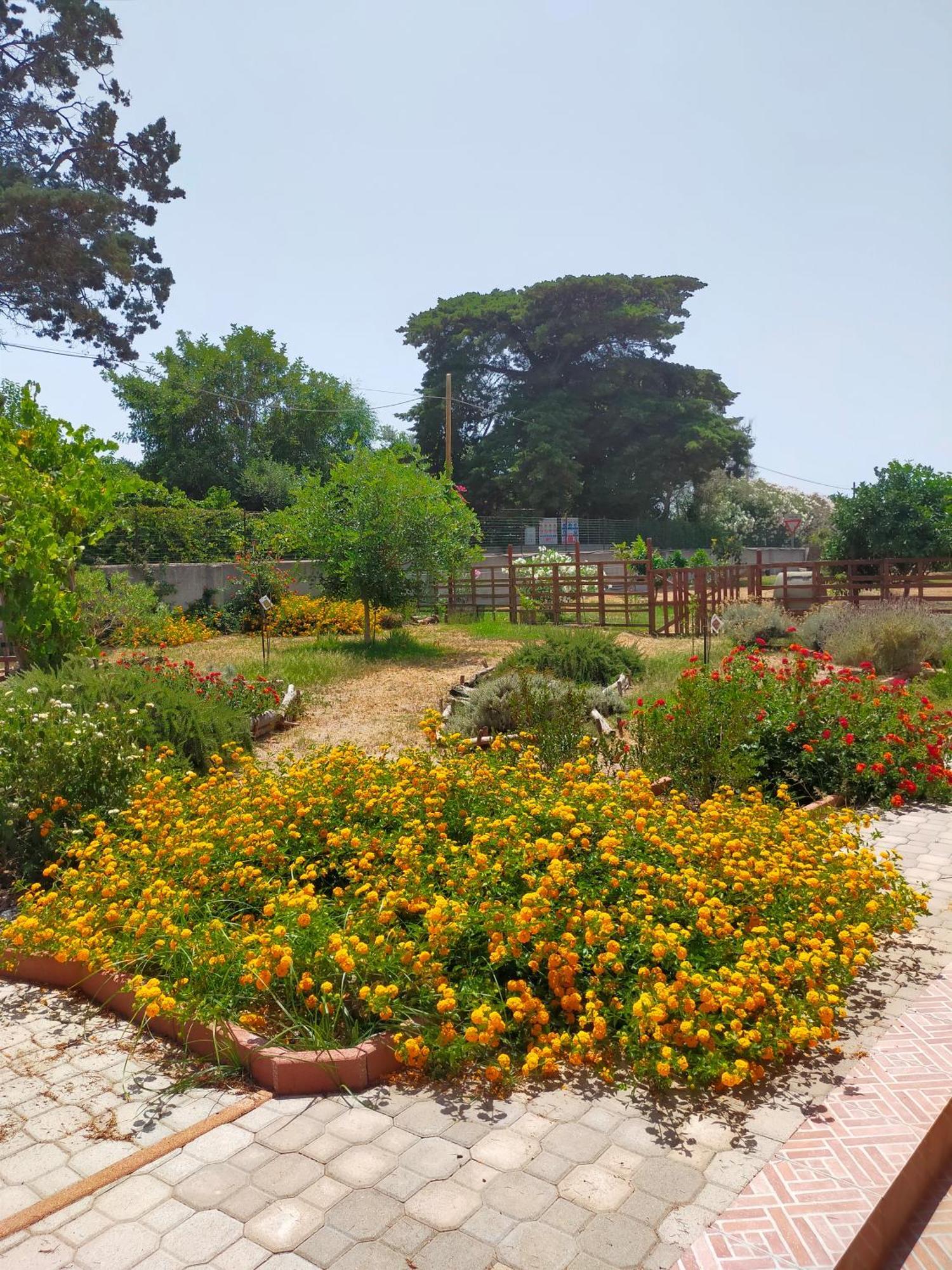 Casa Marina Lu Tuvaraggiu Casa Vacanze ซอร์โซ ภายนอก รูปภาพ